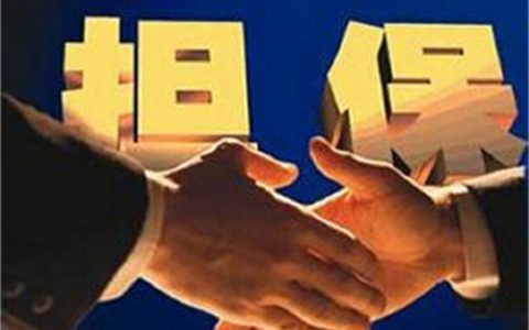 担保人主动还款一半可不可以担保人需要承担什么责任?