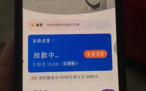 系统自动审批的贷款有哪些，有身份证就行盲批盲过