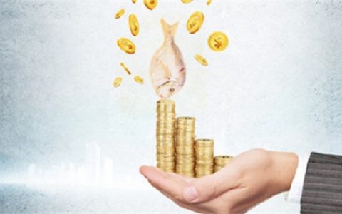 公积金多少能贷款40万，公积金贷款额度是多少