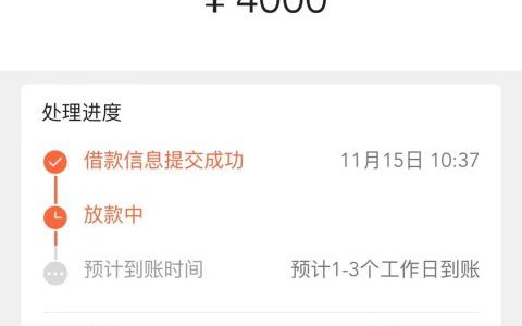 哪个平台能24小时借钱，有身份证和手机号就来，人人4000保底
