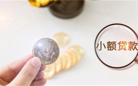 小额贷款申请多了会怎么样，小额贷款多了影响买房吗