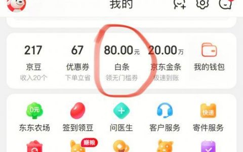 京东白条是什么？京东白条怎么用？