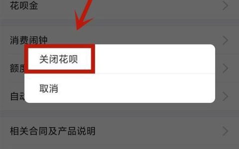 花呗超100无法支付怎么办？教你解决方法
