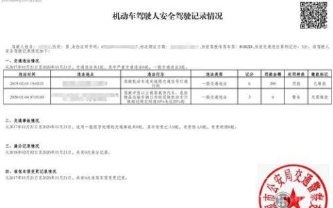 记录是什么意思？