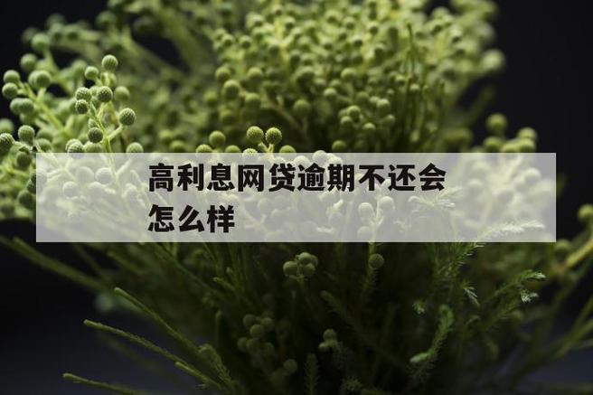 网贷年利率超过多少不合法？