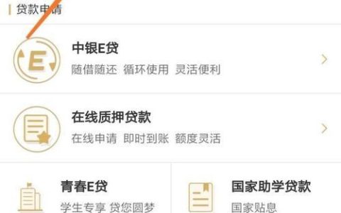 如何查看自己有没有贷款？