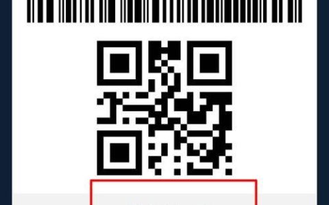 京东白条可以扫码支付吗？