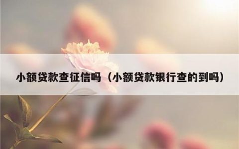 无征信小额贷款app，谁适合申请？