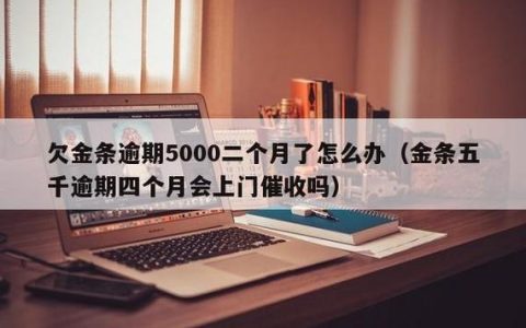 金条逾期1天忘记还款怎么办？教你3个方法快速解决