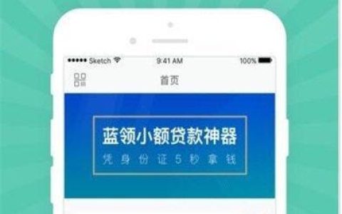 什么软件借钱百分百可以借到？