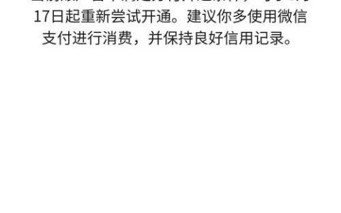 为什么我没有分付入口？