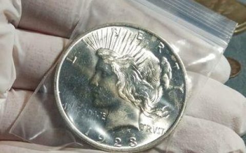 世界上最贵的钱币：美国&ldquo;飘逸长发&rdquo;银币