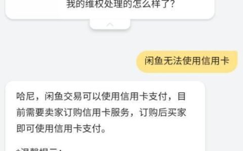闲鱼可以用信用卡付款吗？答案在这里！