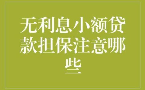 直接通过小额贷款的优势和注意事项