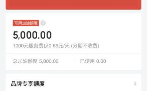 白条加油包有额度但是不能用？教你5招解决