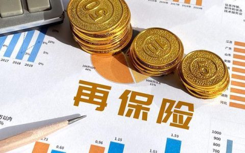 再保险是什么意思？