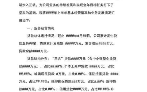 小额贷款公司报告