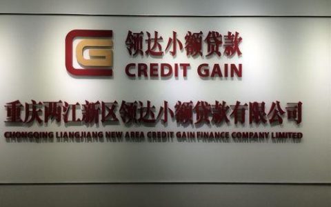 有可靠的小额贷款公司吗？