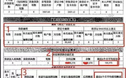 征信报告贷款其他账户数：解读与建议