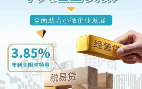 长沙市小额贷款：助力小微企业发展