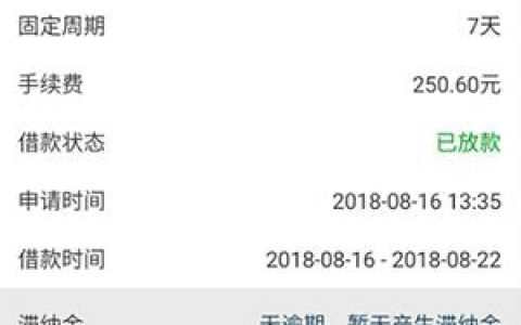 年底网贷下款攻略：如何快速获取贷款？