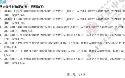 拍拍贷要看征信吗？