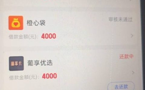宜口袋葡享优选还款扣两次怎么办？用户反馈+解决方法