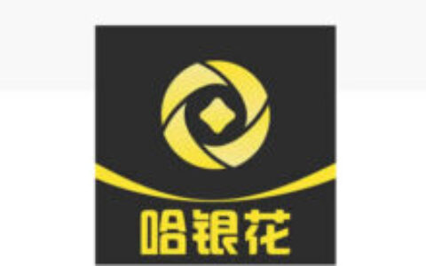 哈银花口子花户可以申请吗？征信花了还能下款实测